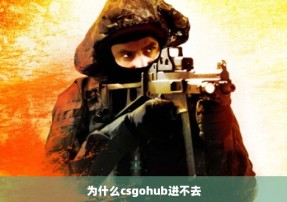 为什么csgohub进不去