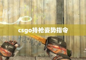 csgo持枪姿势指令