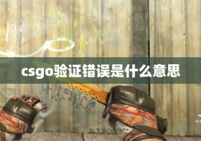 csgo验证错误是什么意思