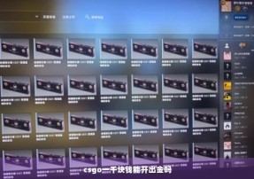 csgo一千块钱能开出金吗