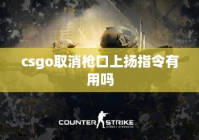 csgo取消枪口上扬指令有用吗