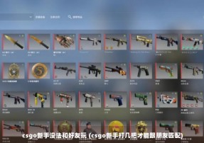 csgo新手没法和好友玩 (csgo新手打几把才能跟朋友匹配)