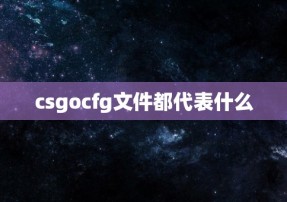 csgocfg文件都代表什么