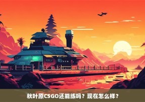 秋叶原CSGO还能练吗？现在怎么样？