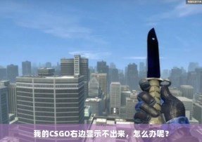 我的CSGO右边显示不出来，怎么办呢？