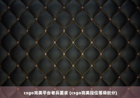 csgo完美平台老兵要求 (csgo完美段位等级划分)