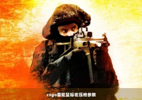 csgo雷蛇鼠标宏压枪参数