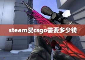 steam买csgo需要多少钱