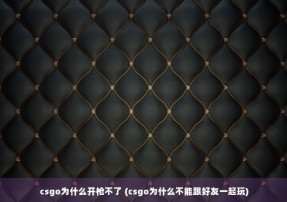 csgo为什么开枪不了 (csgo为什么不能跟好友一起玩)