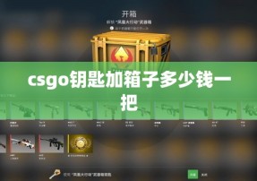 csgo钥匙加箱子多少钱一把