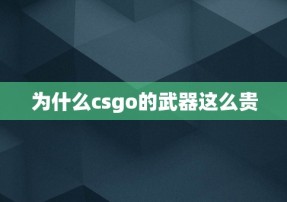 为什么csgo的武器这么贵