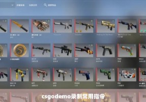 csgodemo录制常用指令