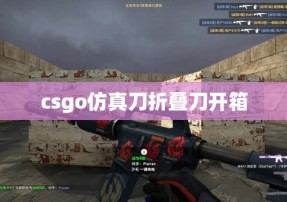 csgo仿真刀折叠刀开箱