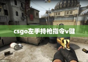 csgo左手持枪指令v键