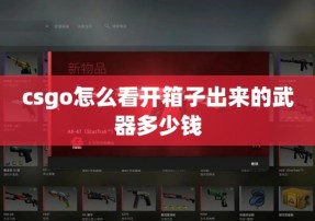 csgo怎么看开箱子出来的武器多少钱