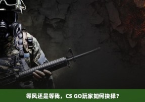 等风还是等我，CS GO玩家如何抉择？