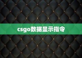 csgo数据显示指令