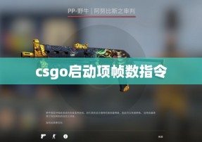 csgo启动项帧数指令