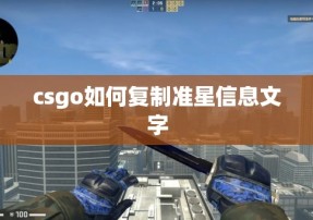 csgo如何复制准星信息文字