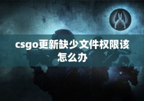 csgo更新缺少文件权限该怎么办