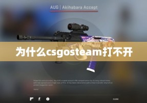 为什么csgosteam打不开