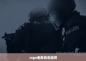 csgo叁胖的启动项