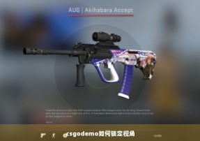 csgodemo如何锁定视角