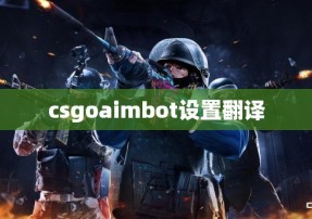 csgoaimbot设置翻译