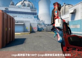 csgo两种箱子各100个 (csgo两种音乐盒有什么区别)