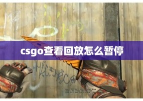 csgo查看回放怎么暂停