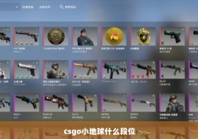 csgo小地球什么段位