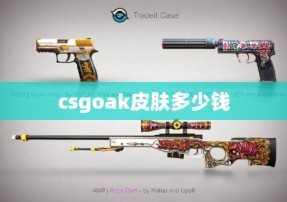 csgoak皮肤多少钱