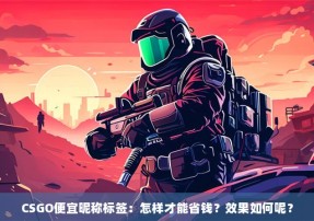 CSGO便宜昵称标签：怎样才能省钱？效果如何呢？