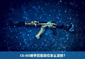 CS:GO新手匹配段位怎么定的？