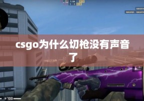 csgo为什么切枪没有声音了