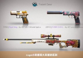 csgo小陀螺和大陀螺的区别