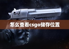 怎么查看csgo储存位置