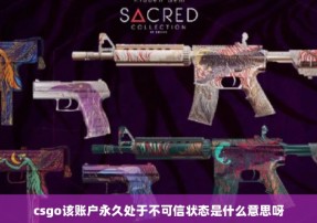 csgo该账户永久处于不可信状态是什么意思呀