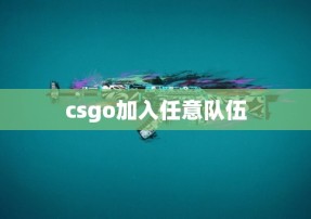 csgo加入任意队伍