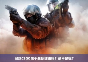 贴纸CSGO属于战队贴纸吗？是不是呢？