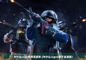 为什么csgo突然没皮肤 (为什么csgo2进不去游戏)