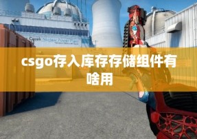 csgo存入库存存储组件有啥用