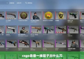 csgo命悬一线箱子出什么刀