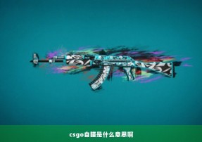 csgo自瞄是什么意思啊