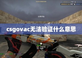 csgovac无法验证什么意思