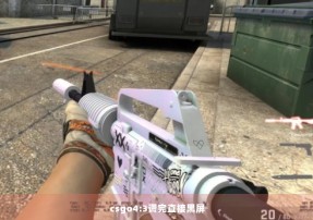 csgo4:3调完直接黑屏