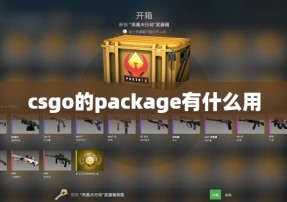 csgo的package有什么用