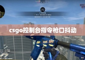 csgo控制台指令枪口抖动