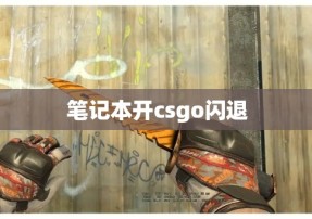 笔记本开csgo闪退