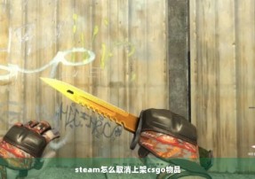 steam怎么取消上架csgo物品